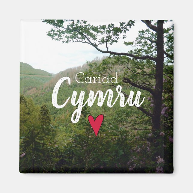 Cariad Cymru Wales Hill Landscape Devils Bridge Magnet (Front)
