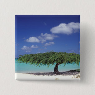 Caribbean, Aruba. Eagle Beach 2 Inch Square Button