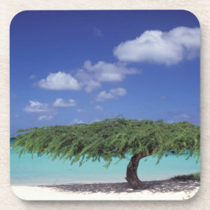 Caribbean, Aruba. Eagle Beach Coaster