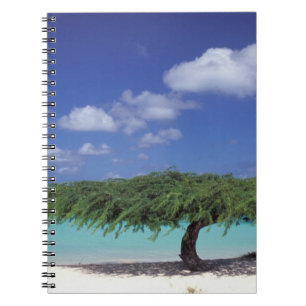 Caribbean, Aruba. Eagle Beach Notebook