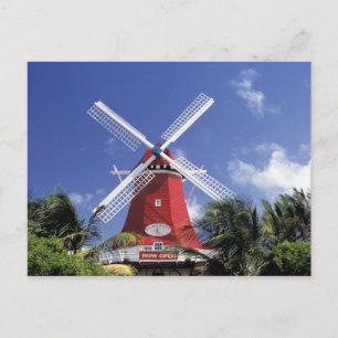 Caribbean, Aruba. Old Mill, converted into 'Mill Postcard