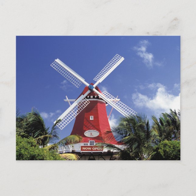 Caribbean, Aruba. Old Mill, converted into 'Mill Postcard (Front)