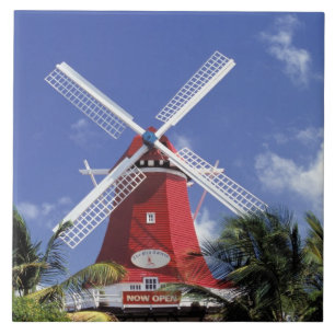 Caribbean, Aruba. Old Mill, converted into 'Mill Tile