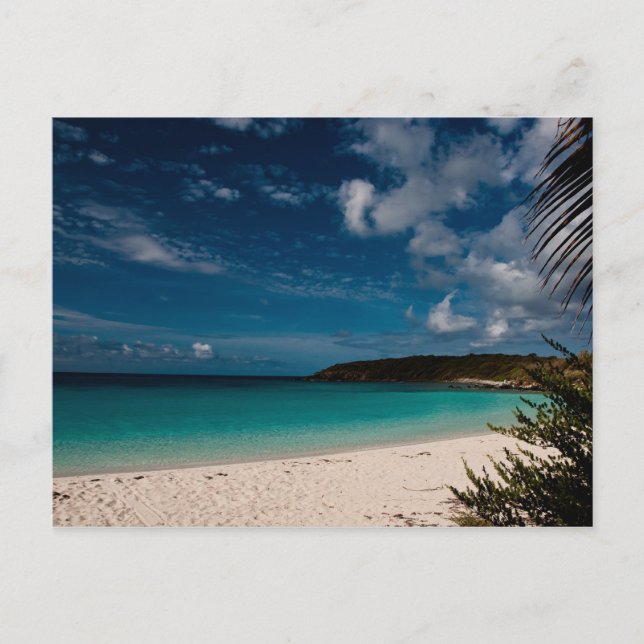 Caribbean Beach 01 Postcard (Front)
