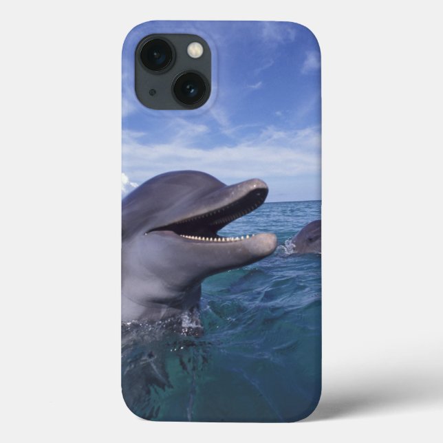 Caribbean, Bottlenose Case-Mate iPhone Case (Back)