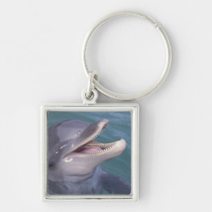 Caribbean, Bottlenose dolphin Keychain