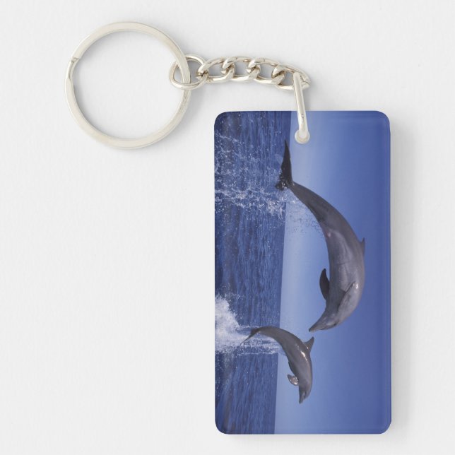 Caribbean, Bottlenose dolphins Keychain (Front)