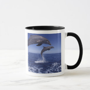 Caribbean, Bottlenose dolphins Mug