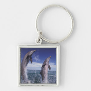 Caribbean, Bottlenose dolphins Tursiops Keychain