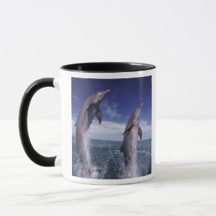 Caribbean, Bottlenose dolphins Tursiops Mug