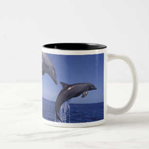 Caribbean, Bottlenose dolphins Two-Tone Coffee Mug