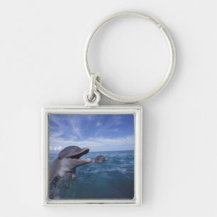 Caribbean, Bottlenose Keychain