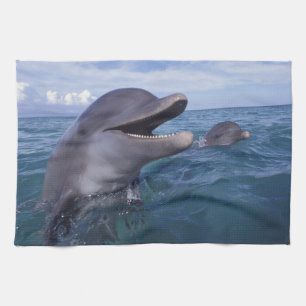 Caribbean, Bottlenose Kitchen Towel