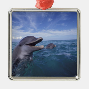 Caribbean, Bottlenose Metal Ornament