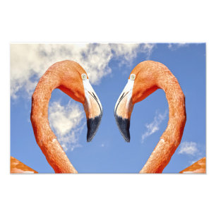 Caribbean flamingo love heart photo print
