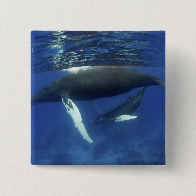 Caribbean, Greater Antilles archipelago, 2 Inch Square Button (Front)