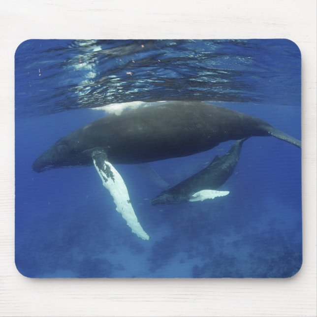 Caribbean, Greater Antilles archipelago, Mouse Pad (Front)