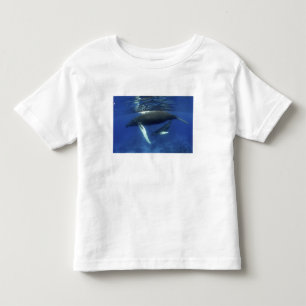 Caribbean, Greater Antilles archipelago, Toddler T-shirt