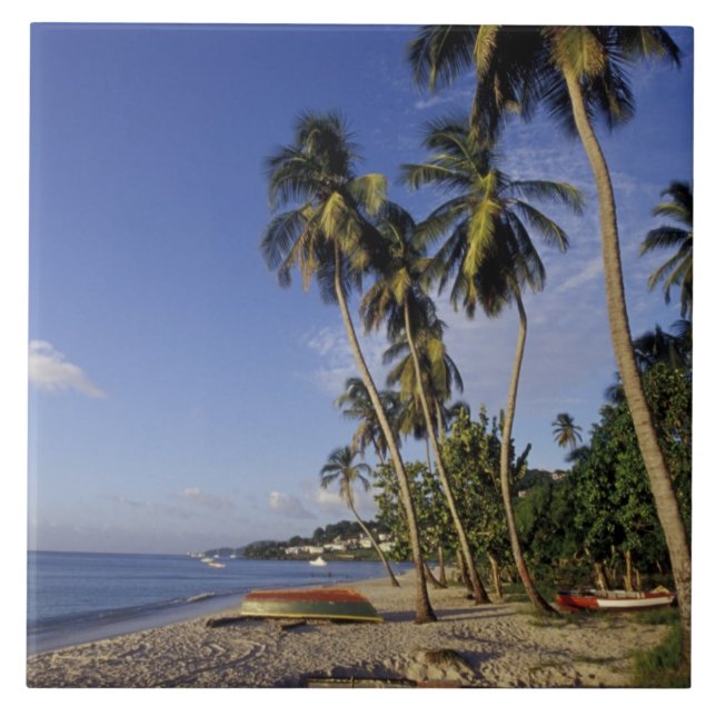 CARIBBEAN, Grenada, St. George, Boats on palm Tile (Front)