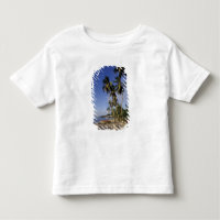 CARIBBEAN, Grenada, St. George, Boats on palm