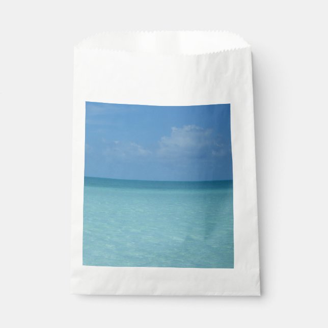 Caribbean Horizon Tropical Turquoise Blue Favour Bag (Front)