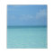 Caribbean Horizon Tropical Turquoise Blue