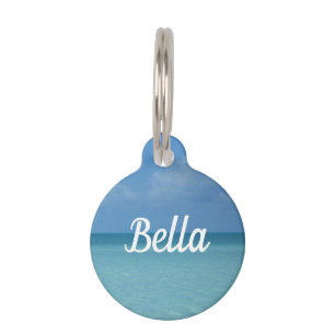 Caribbean Horizon Tropical Turquoise Blue Pet Tag