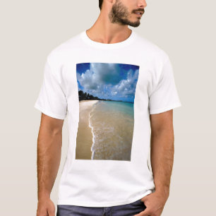 Caribbean, Leeward Islands, Antigua, Dickenson T-Shirt