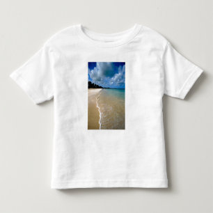 Caribbean, Leeward Islands, Antigua, Dickenson Toddler T-shirt