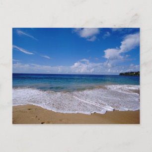 Caribbean, Lesser Antilles, West Indies, 4 Postcard