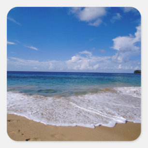 Caribbean, Lesser Antilles, West Indies, 4 Square Sticker
