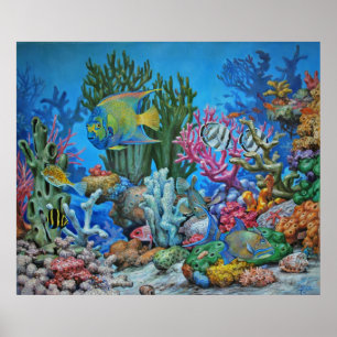 Caribbean Reef Print