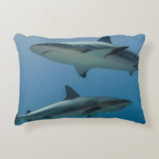 Caribbean Reef Shark Decorative Pillow (Front)
