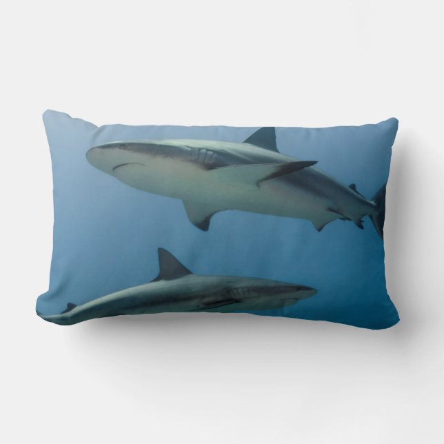 Caribbean Reef Shark Lumbar Pillow (Front)