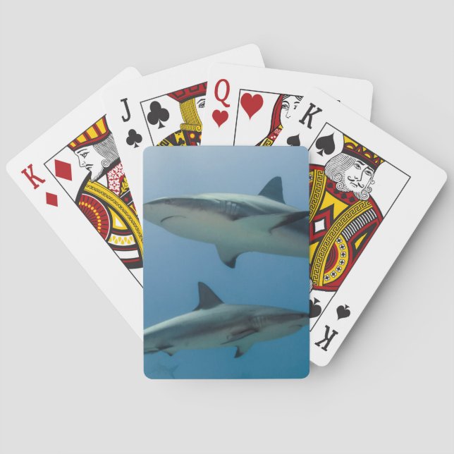 Caribbean Reef Shark Playing Cards (Back)