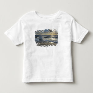 Caribbean Sea, Cayman Islands.  Crashing waves Toddler T-shirt