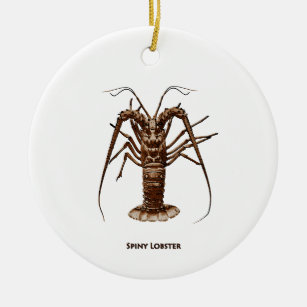 Caribbean Spiny Lobster Ceramic Ornament