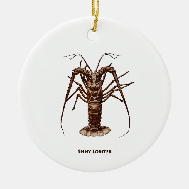 Caribbean Spiny Lobster Ceramic Ornament (Front)