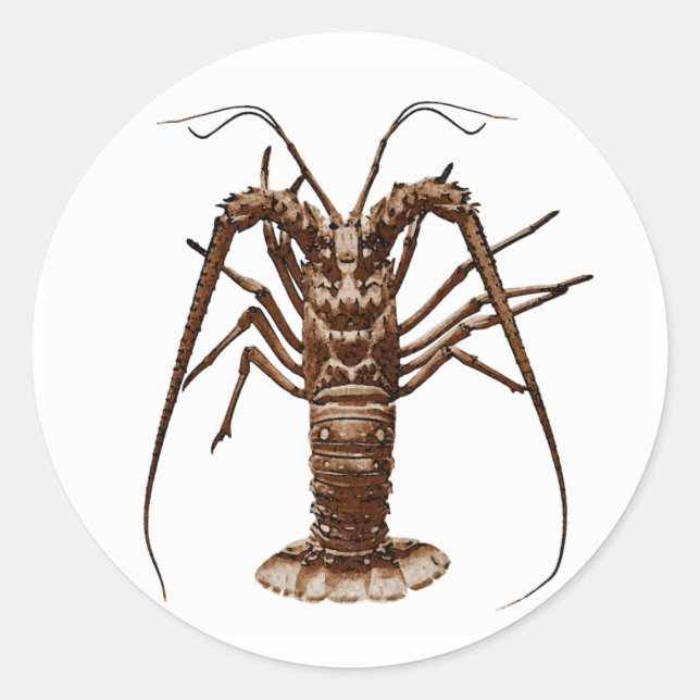 Caribbean Spiny Lobster Classic Round Sticker (Front)