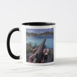 CARIBBEAN, St. Barts, Connon aiming into Bay of Mug