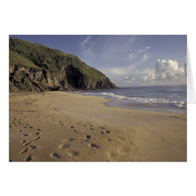 Caribbean, St. Kitts. Footprints on Atlantic (Front Horizontal)