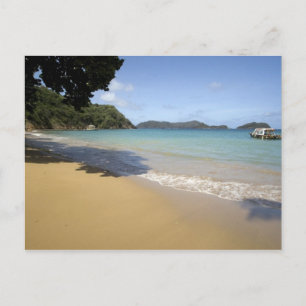 Caribbean - Tobago - Beach along Atlantic Postcard