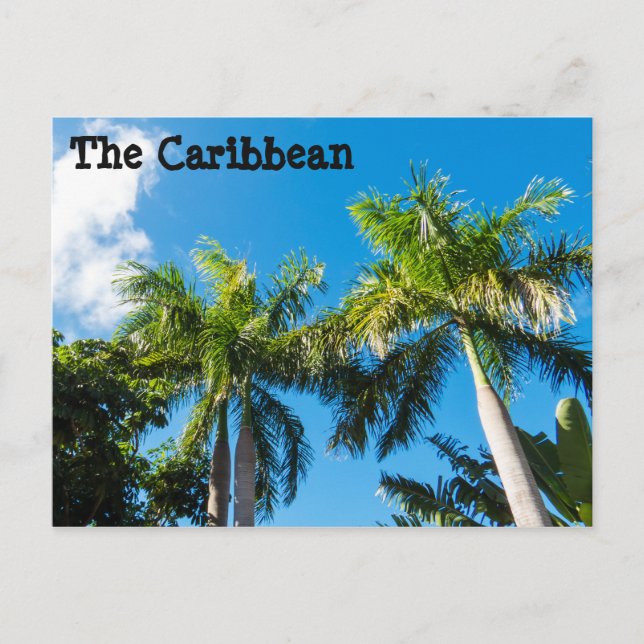 Caribbean Trees Postcard (Front)