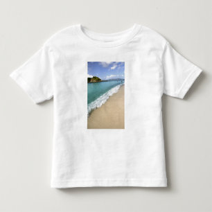 Caribbean, U.S. Virgin Islands, St. John, Toddler T-shirt