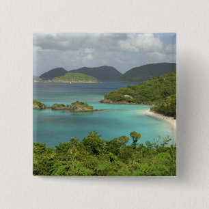 Caribbean, U.S. Virgin Islands, St. John, Trunk 2 Inch Square Button
