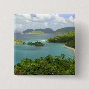 Caribbean, U.S. Virgin Islands, St. John, Trunk 2 Inch Square Button