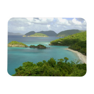 Caribbean, U.S. Virgin Islands, St. John, Trunk 2 Magnet