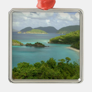 Caribbean, U.S. Virgin Islands, St. John, Trunk 2 Metal Ornament