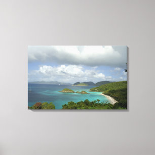 Caribbean, U.S. Virgin Islands, St. John, Trunk 3 Canvas Print