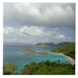 Caribbean, U.S. Virgin Islands, St. John, Trunk 3 Tile